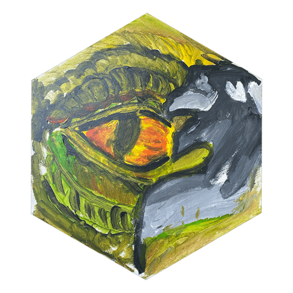 Drakenoog, acrylverf op doe, zeshoek zijdes 20cm, Gökan Solmaz